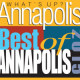 Atlantic Voted Best Landscape Lighting Contractor Annapolis
