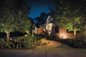 landscape lighting