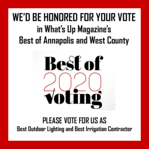 Best of 2020