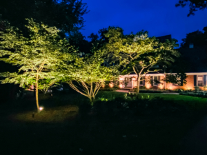 Outdoor landscape lighting